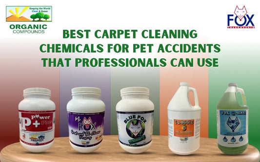 Best Carpet Cleaning Chemicals for Pet Accidents That Professionals Can Use