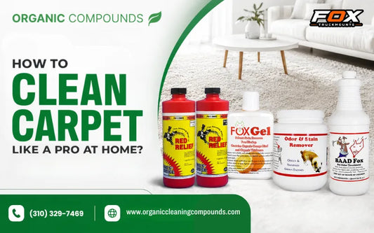 How to Clean Carpet Like a Pro at Home?