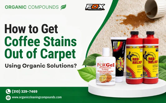 How to Get Coffee Stains Out of Carpet Using Organic Solutions?