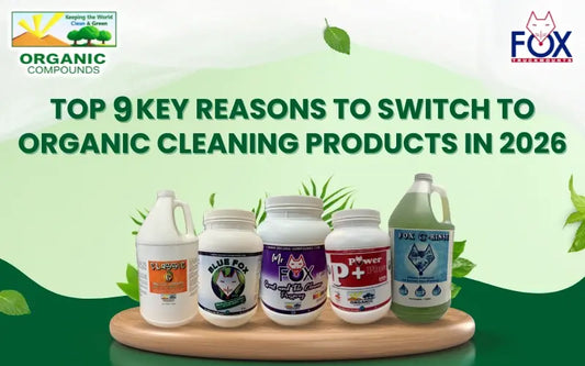 Reasons to Switch to Organic Cleaning Products in 2026