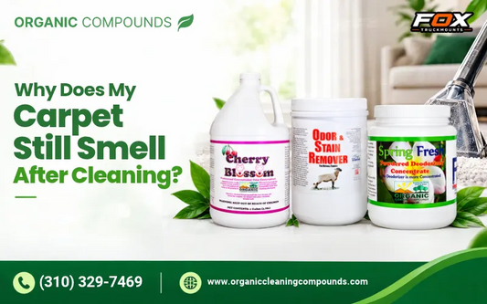 Why Does My Carpet Still Smell After Cleaning?