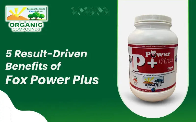 5 Result-Driven Benefits of Fox Power Plus Carpet Cleaner – Organic ...