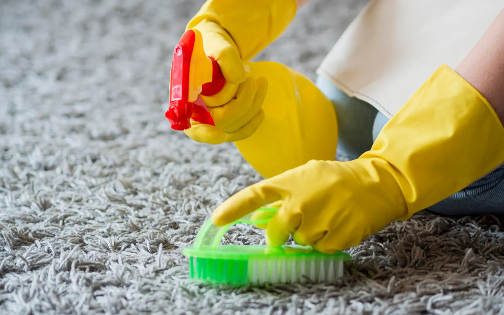 How to Choose the Right Organic Cleaning Solution for Carpet Cleaning?