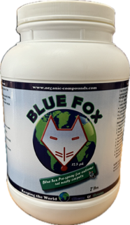 BLUE FOX